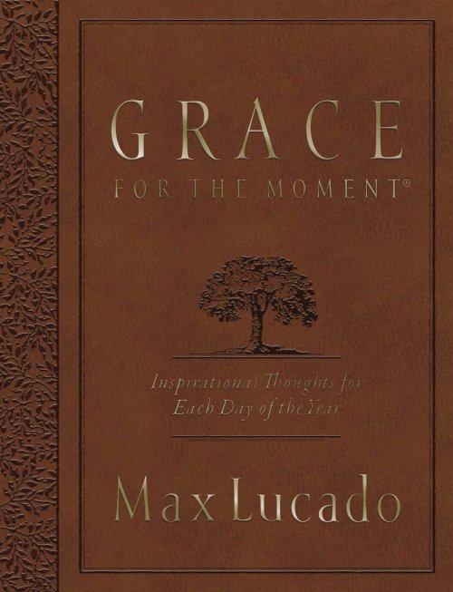 Grace for the Moment Volume I, Large Text Flexcover