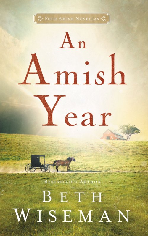 An Amish Year