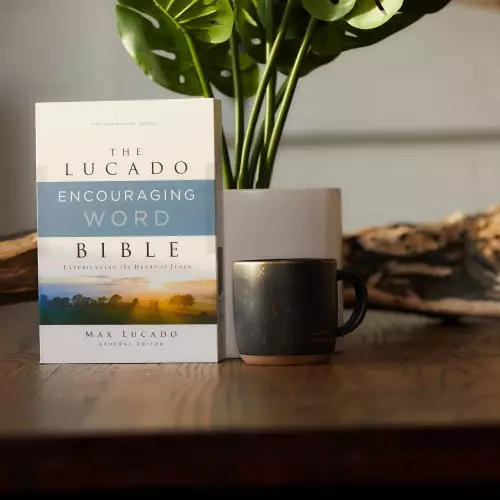 NIV, Lucado Encouraging Word Bible, Leathersoft, Blue, Comfort Print