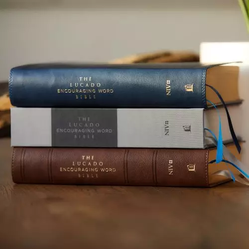 NIV, Lucado Encouraging Word Bible, Leathersoft, Blue, Comfort Print