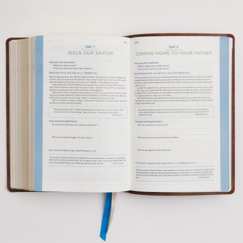 NIV, Lucado Encouraging Word Bible, Leathersoft, Blue, Comfort Print