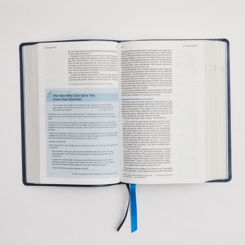 NIV, Lucado Encouraging Word Bible, Leathersoft, Blue, Comfort Print