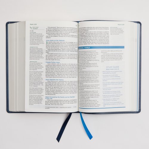 NIV, Lucado Encouraging Word Bible, Leathersoft, Blue, Comfort Print