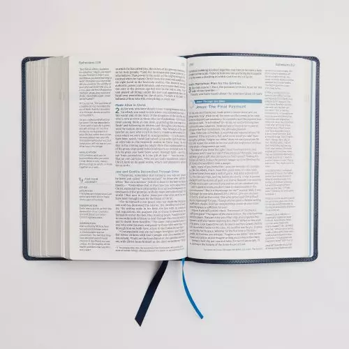 NIV, Lucado Encouraging Word Bible, Leathersoft, Blue, Comfort Print