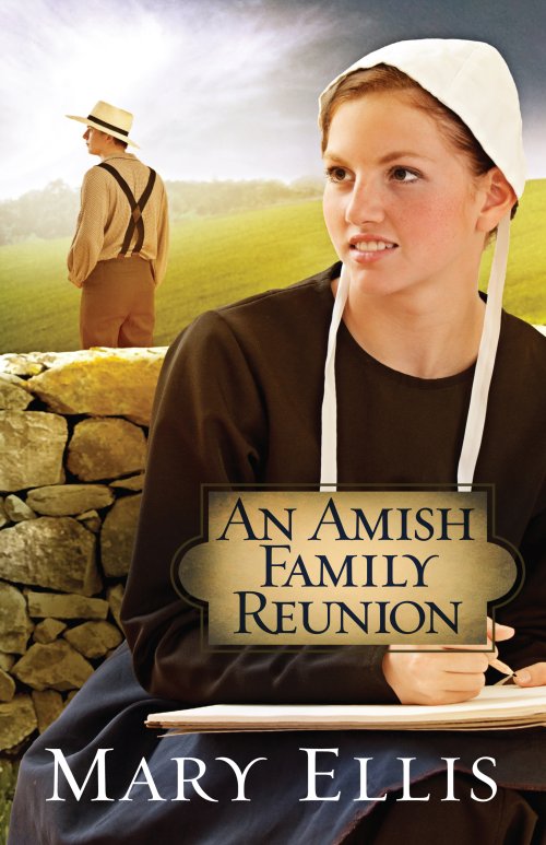 Amish Family Reunion, An [eBook]