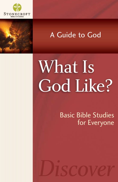 What Is God Like?    [eBook]