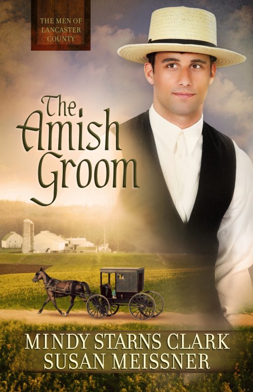 Amish Groom, The [eBook]