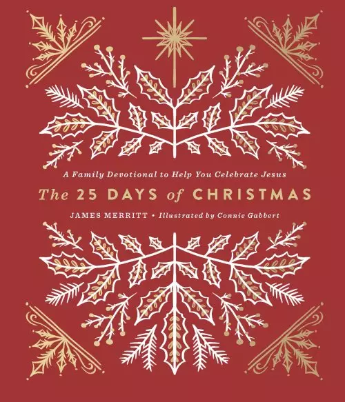 25 Days of Christmas