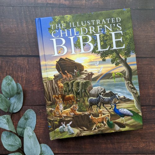 The Illustrated Children's Bible