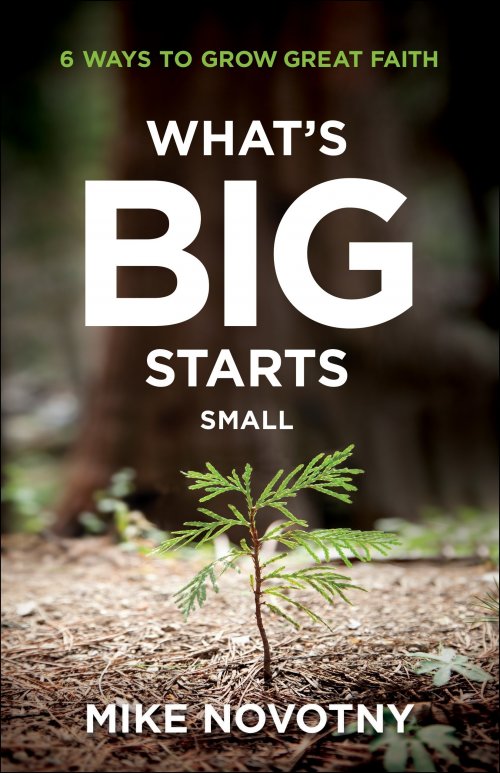 What's Big Starts Small