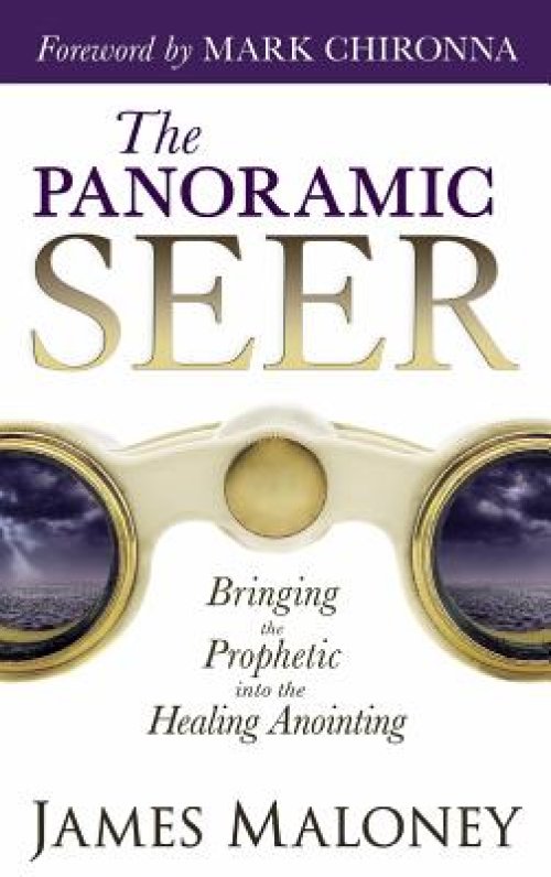 The Panoramic Seer