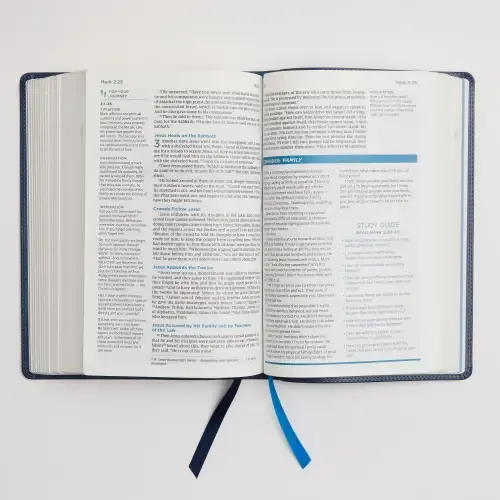 NIV, Lucado Encouraging Word Bible, Leathersoft, Blue, Thumb Indexed, Comfort Print