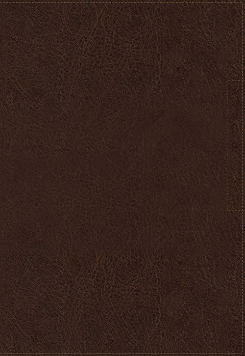 NIV, Lucado Encouraging Word Bible, Leathersoft, Brown, Comfort Print