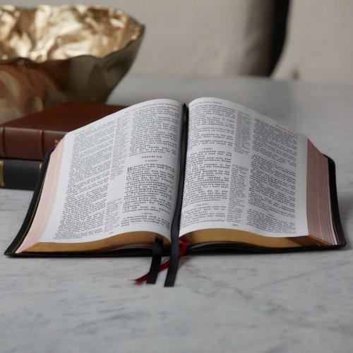 KJV Holy Bible: Giant Print with 53,000 Cross References, Black Premium Goatskin Leather, Premier Collection, Comfort Print: King James Version