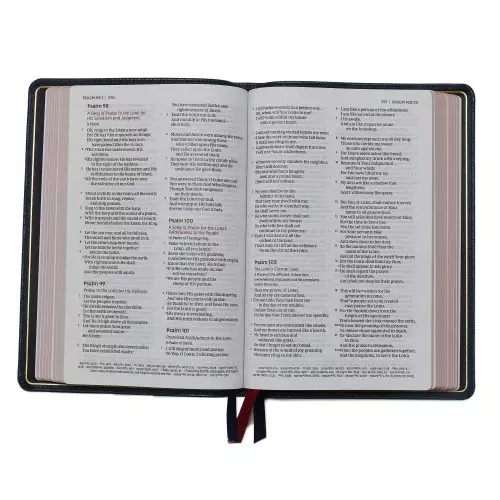 NKJV, Thinline Reference Bible, Large Print, Premium Goatskin Leather, Black, Premier Collection, Comfort Print, Black Letter