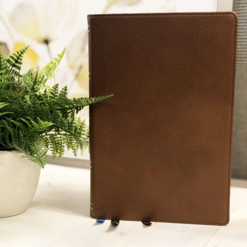 NKJV, Wiersbe Study Bible, Genuine Leather, Brown, Red Letter, Comfort Print