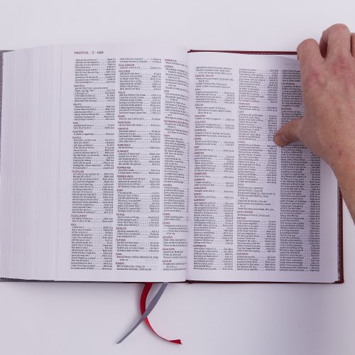 The NKJV, Open Bible, Cloth Over Board, Gray/Red, Red Letter, Comfort Print