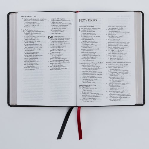 NET Bible, Thinline Large Print, Leathersoft, Stone, Comfort Print