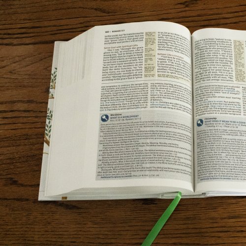 Evangelical Study Bible: Christ-centered. Faith-building. Mission-focused. (NKJV, Brown Leathersoft, Red Letter, Large Comfort Print)