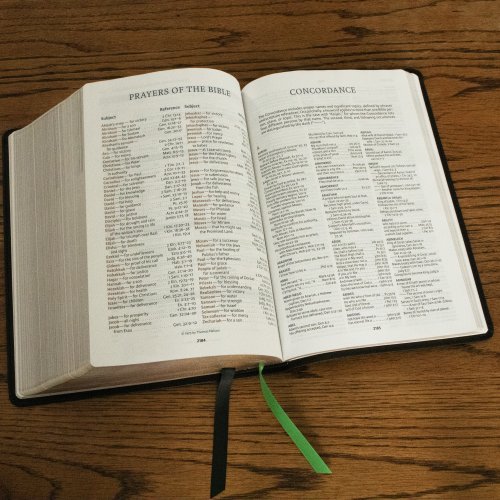 Evangelical Study Bible: Christ-centered. Faith-building. Mission-focused. (NKJV, Pink Leathersoft, Red Letter, Large Comfort Print)