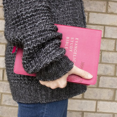 Evangelical Study Bible: Christ-centered. Faith-building. Mission-focused. (NKJV, Pink Leathersoft, Red Letter, Large Comfort Print)