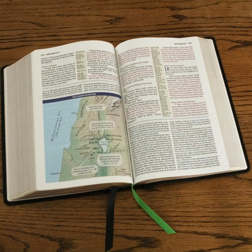 Evangelical Study Bible: Christ-centered. Faith-building. Mission-focused. (NKJV, Pink Leathersoft, Red Letter, Thumb Indexed, Large Comfort Print)