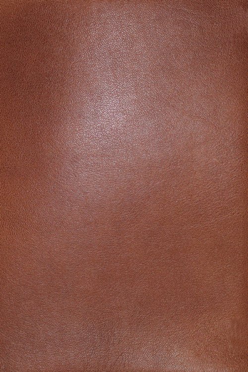 NASB, MacArthur Study Bible, 2nd Edition, Premium Goatskin Leather, Brown, Premier Collection, Comfort Print