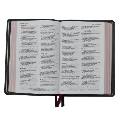 NKJV, Thinline Reference Bible, Large Print, Premium Goatskin Leather, Brown, Premier Collection, Comfort Print