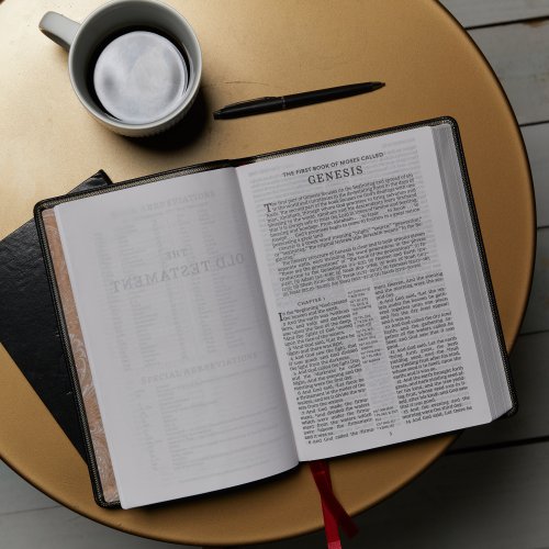 KJV Holy Bible: Giant Print with 53,000 Cross References, Brown Premium Goatskin Leather, Premier Collection, Comfort Print: King James Version