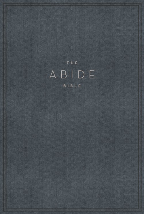 NET, Abide Bible, Cloth over Board, Blue, Comfort Print