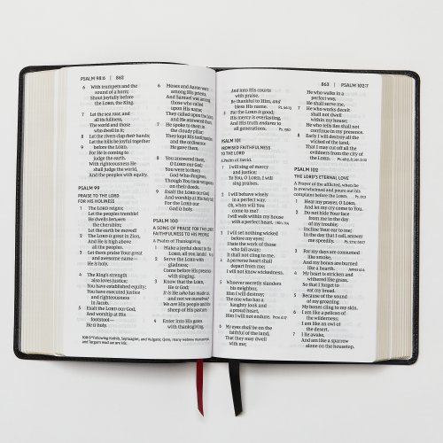 NKJV, End-of-Verse Reference Bible, Compact, Leathersoft, Brown, Red Letter, Comfort Print