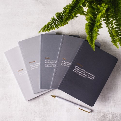 NKJV Bible Journals - The Writings Box Set