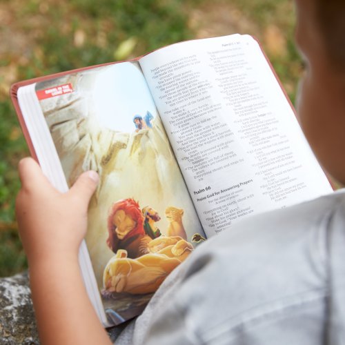 International Children's Bible (ICB) Holy Bible, Hardcover