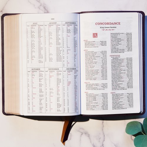 KJV, Personal Size Reference Bible, Sovereign Collection, Leathersoft, Brown, Red Letter, Comfort Print