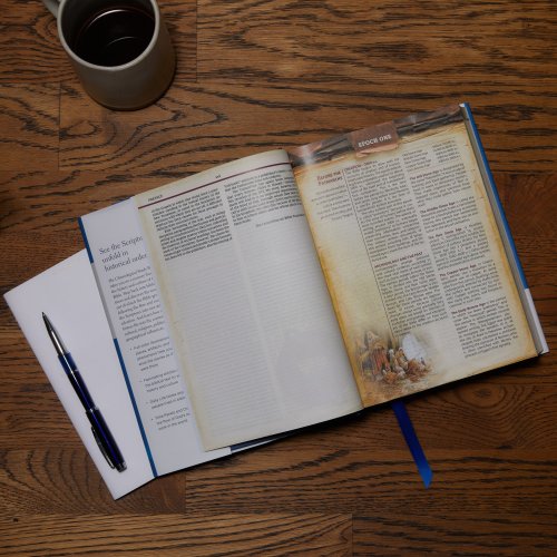 NIV Chronological Study Bible, Blue, Hardback, Comfort Print, Illustrations, Articles, Daily Life Notes, Time Panels, Charts