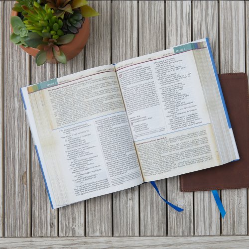 NIV Chronological Study Bible, Blue, Hardback, Comfort Print, Illustrations, Articles, Daily Life Notes, Time Panels, Charts