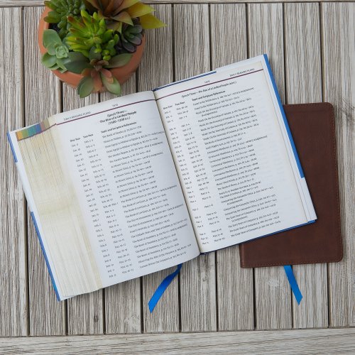 NIV Chronological Study Bible, Blue, Hardback, Comfort Print, Illustrations, Articles, Daily Life Notes, Time Panels, Charts