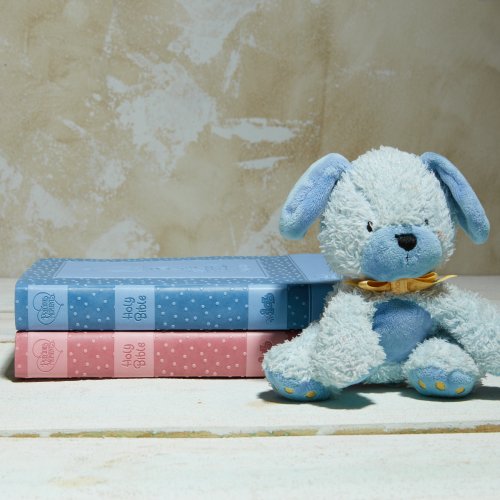 International Children's Bible (ICB) Precious Moments Bible, Leathersoft, Blue