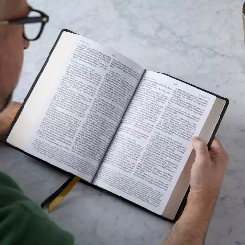 KJV Holy Bible: Large Print Verse-by-Verse with Cross References, Black Premium Goatskin Leather, Comfort Print: King James Version (Maclaren Series)