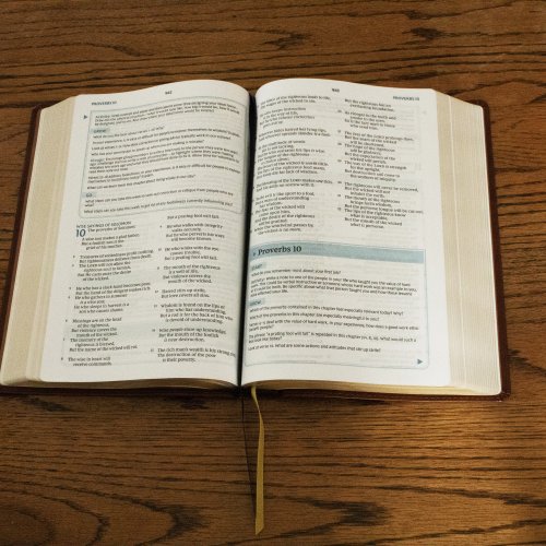 NKJV, The Bible Study Bible, Hardcover, Comfort Print