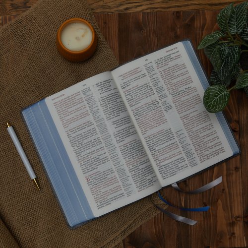 NKJV, Reference Bible, Classic Verse-by-Verse, Center-Column, Leathersoft, Gray, Red Letter, Thumb Indexed, Comfort Print