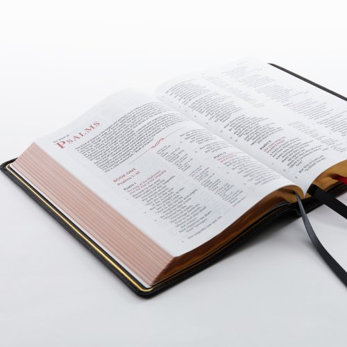 NKJV, Reference Bible, Classic Verse-by-Verse, Center-Column, Premium Goatskin Leather, Brown, Premier Collection, Red Letter, Comfort Print