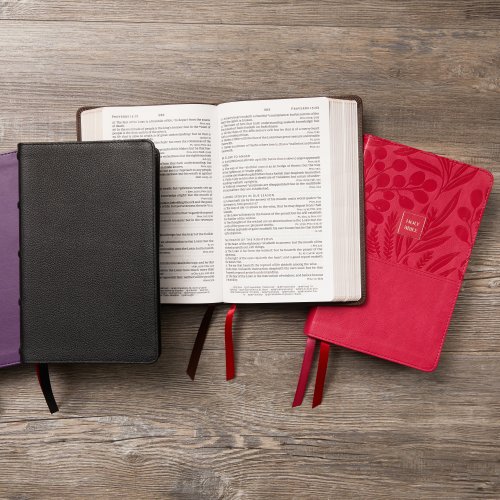 KJV Holy Bible: Large Print Single-Column with 43,000 End-of-Verse Cross References, Black Leathersoft, Personal Size, Red Letter, Comfort Print (Thumb Indexed): King James Version