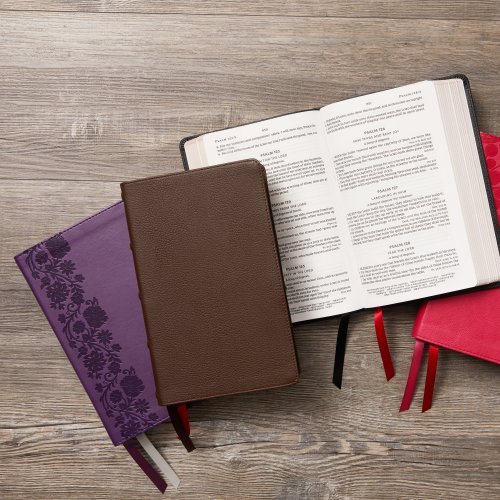 KJV Holy Bible: Large Print Single-Column with 43,000 End-of-Verse Cross References, Purple Leathersoft, Personal Size, Red Letter, (Thumb Indexed): King James Version