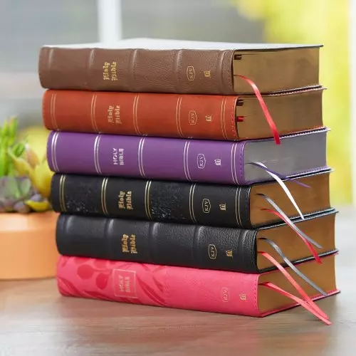 KJV Holy Bible: Large Print Single-Column with 43,000 End-of-Verse Cross References, Pink Leathersoft, Personal Size, Red Letter, Comfort Print: King James Version