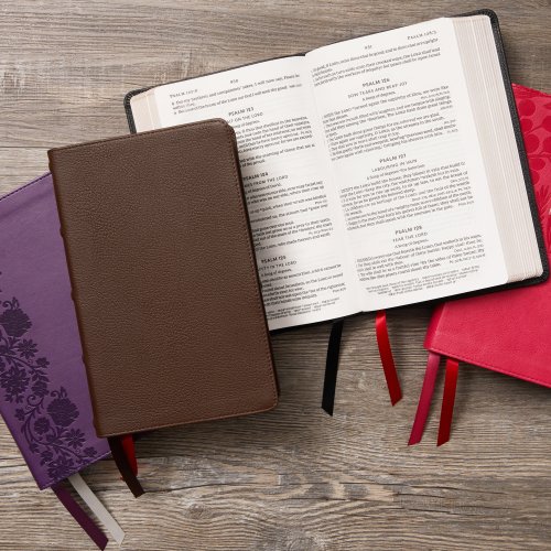 KJV Holy Bible: Large Print Single-Column with 43,000 End-of-Verse Cross References, Brown Genuine Leather, Personal Size, Red Letter, Comfort Print: King James Version