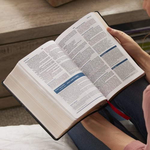 NKJV, Word Study Reference Bible, Hardcover, Red Letter, Thumb Indexed, Comfort Print