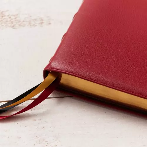 KJV Holy Bible: Large Print Single-Column with 43,000 End-of-Verse Cross References, Red Goatskin Leather, Premier Collection, Personal Size, Red Letter: King James Version