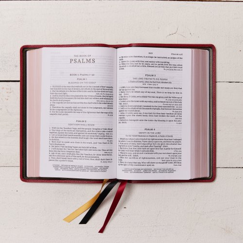 KJV Holy Bible: Large Print Single-Column with 43,000 End-of-Verse Cross References, Red Goatskin Leather, Premier Collection, Personal Size, Red Letter: King James Version