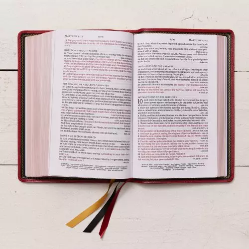 KJV Holy Bible: Large Print Single-Column with 43,000 End-of-Verse Cross References, Red Goatskin Leather, Premier Collection, Personal Size, Thumb Indexed: King James Version